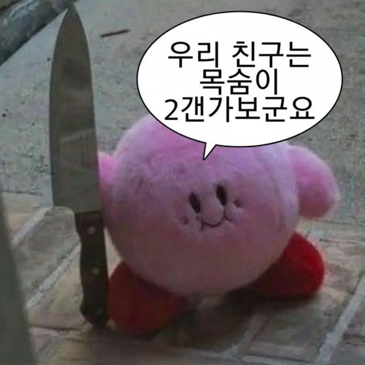 픽시 대차합니다